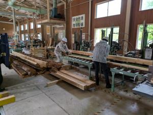 コウヨウザンの製材