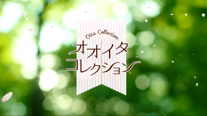 オオイタコレクション