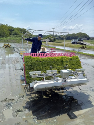 田植え作業の写真