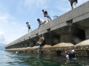漁礁を岸壁から降ろす様子