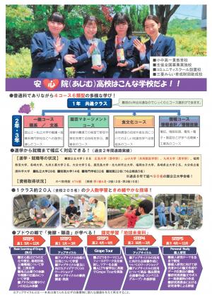 安心院_裏