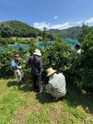 研修の様子