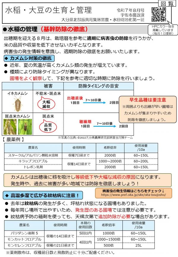 水稲の生育と管理