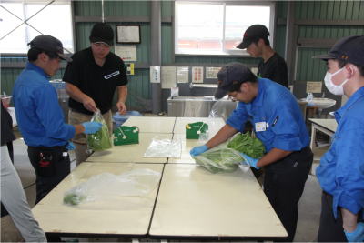 野菜調整作業