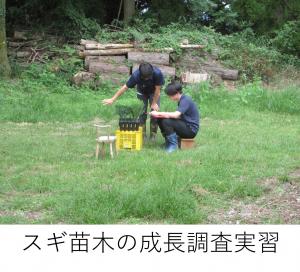 研修の様子