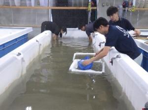 試験の様子