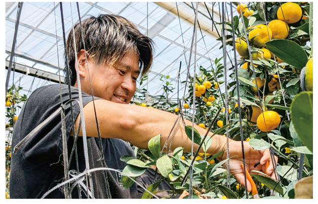 ファーマーズスクール