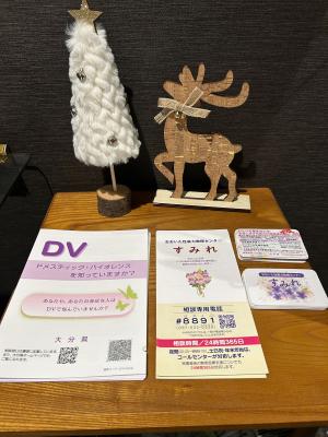 ザイナス広報物