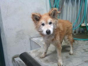 表示できません。