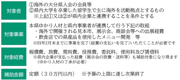 補助金の概要を記載しています。