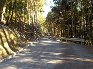 完成した林道