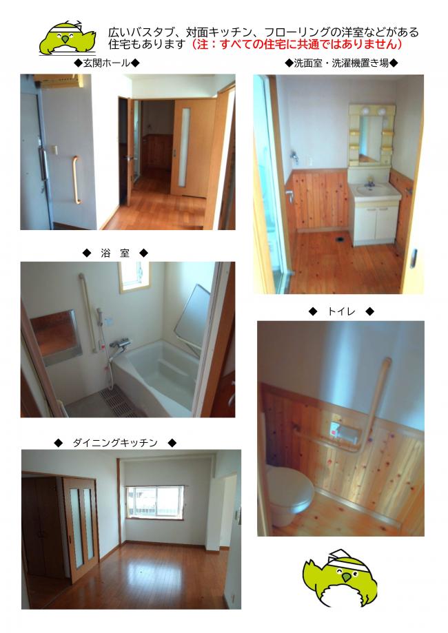 Photo1