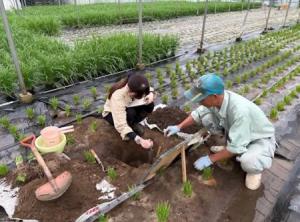 圃場の写真