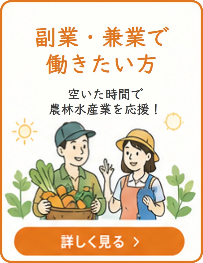 【副業・兼業で働きたい方】
