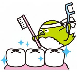 mejiron_dental