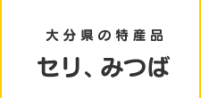 大分県の特産品セリ、みつば