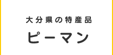 大分県の特産品ピーマン