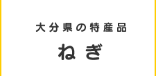 大分県の特産品ねぎ