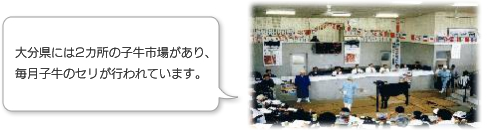 大分県には２カ所の子牛市場があり、毎月子牛のセリが行われています。