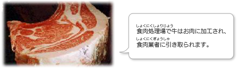 食肉処理場で牛はお肉に加工され、食肉業者に引き取られます。