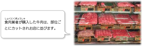 食肉業者が購入した牛肉は、部位ごとにカットされお店に並びます。