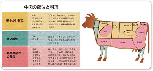 牛肉の部位と料理