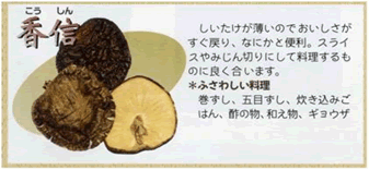 こうしん