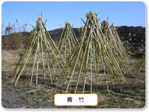 青竹
