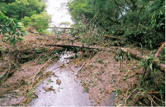 土砂で塞がれた道路