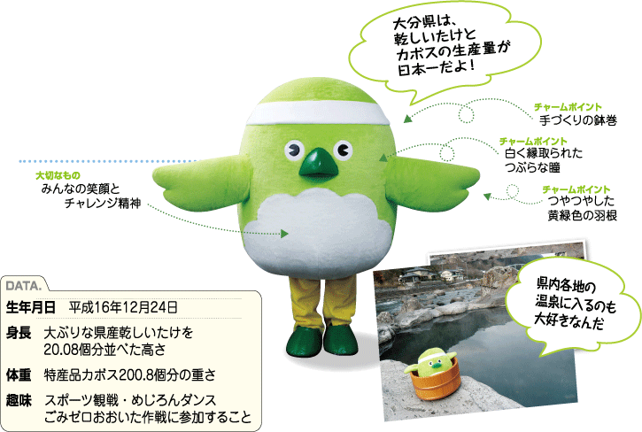 22超人気 大分県のマスコットキャラクター めじろんのピンバッジ Botanika Com Ph