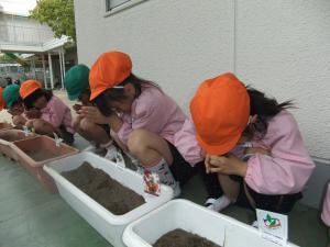 富士見が丘幼稚園