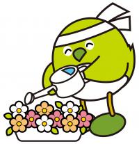 めじろん水やり