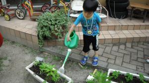 水やり１