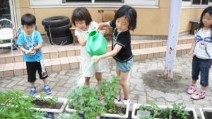 水やり3