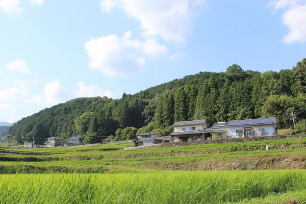 鳴沢地区