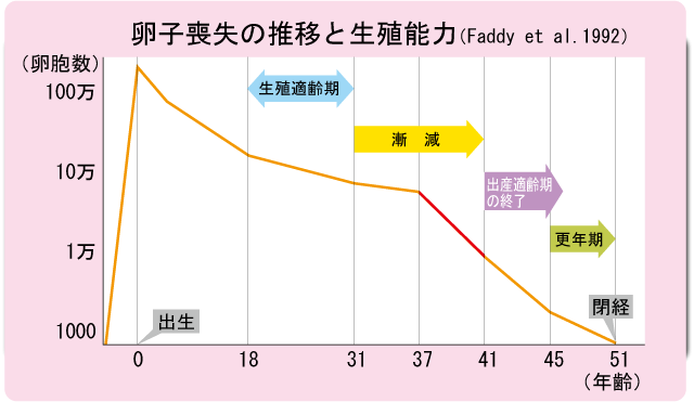 卵子喪失の推移と生殖能力