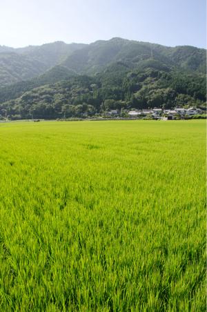 イメージ画像2