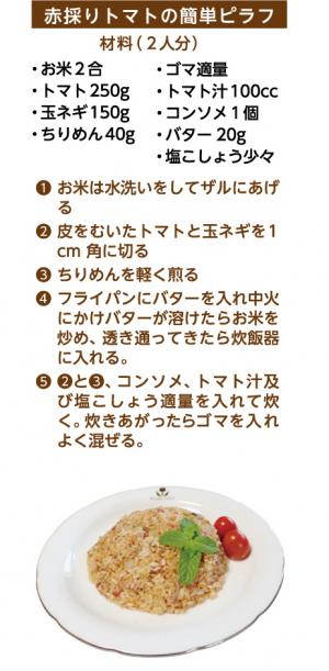 赤採りトマトレシピ