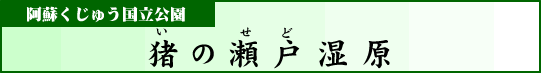 阿蘇くじゅう国立公園　猪の瀬戸湿原
