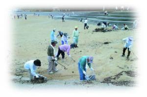 海岸の清掃