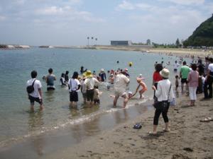 田ノ浦海岸現在