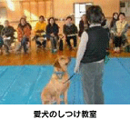 しつけ教室