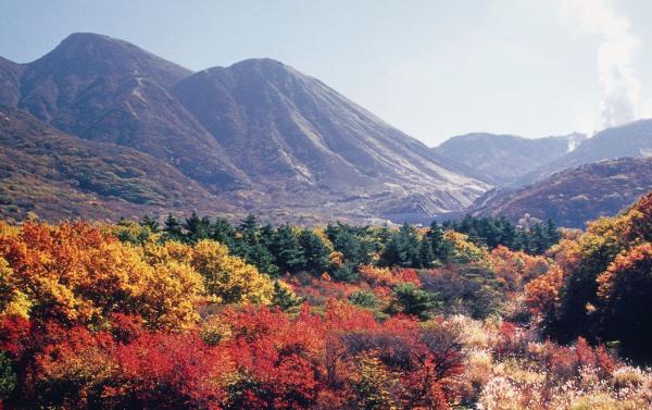 九重町の風景