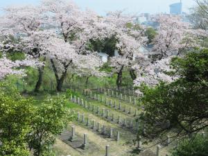 大分県桜ヶ丘聖地（旧陸軍墓地）写真１