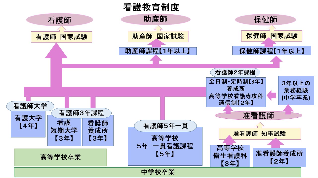 看護職資格取得への道