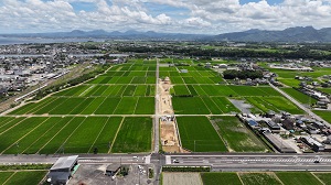 調査地の遠景　