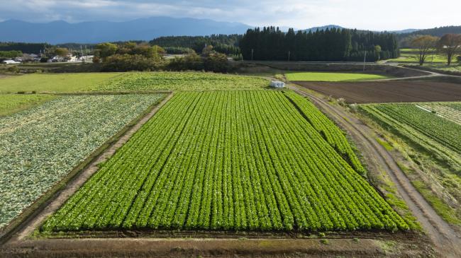 写真(4)