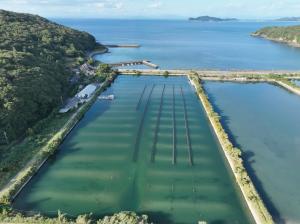 養殖施設全景