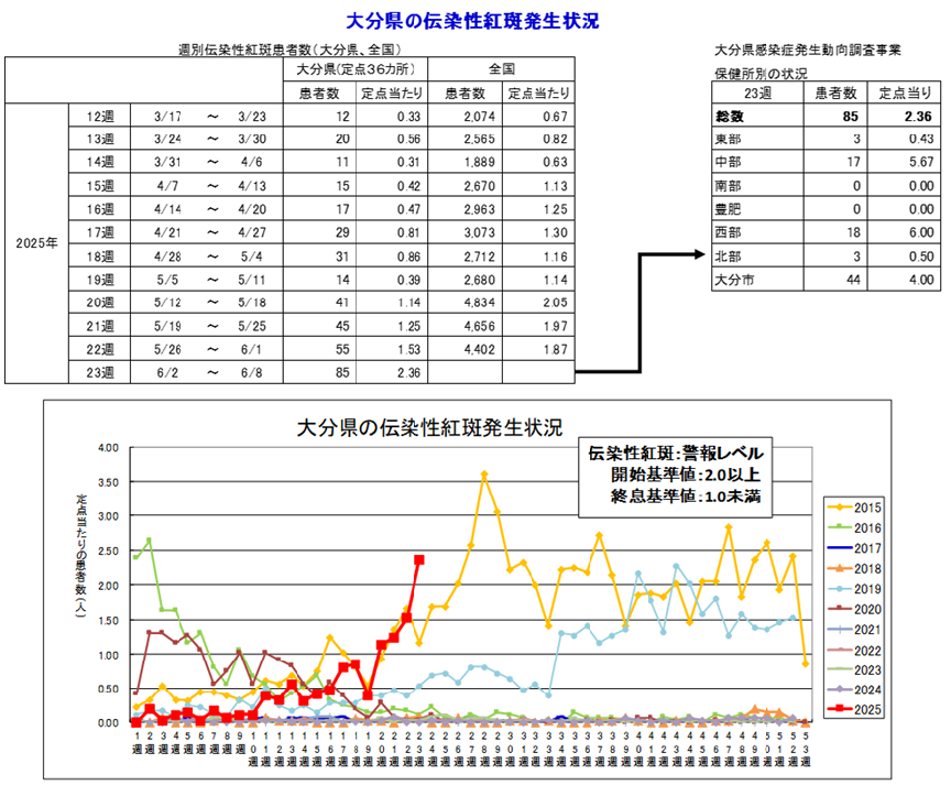 伝染性紅斑23w