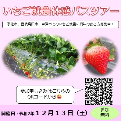 いちご就農体感バスツアーPR画像
